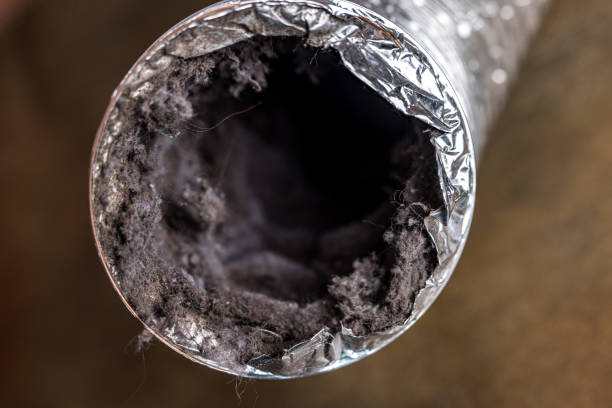 Best Air Duct Inspection  in Blythe, CA
